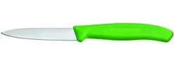 Victorinox Swiss Classic 3.1-inch Straight Edge Paring Knife, Green