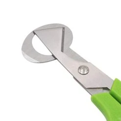 Quail Egg Cutter Scissors Stainless Steel Pigeon Bird Egg Opener Pack Of 12 -Peugeot Shop 311X48t1oBL