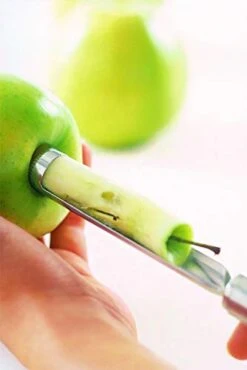 Rösle Stainless Steel Fruit Corer, 9-inch -Peugeot Shop 31IXOcmOcgL