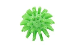 PARTA 45002EC75 Plastic Multi-Purpose Valve Brush, Pipe Brush, Round Brush With Polyester Bristles, Color Coded For Commercial Cleaning, Kitchen, Restaurant, Bathroom, 5.7 X 2 X 5.7 Inches, Lime -Peugeot Shop 31NuIpS21WL