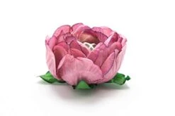 Handmade Paper Truffle Wrappers, Truffle Liners, Truffle Cups For Baby Shower Bridal Shower Birthday Party Wedding - Pack Of 24 (Peony Dusty Rose)