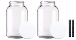 Ne Gallon Wide Mouth Jar With Lid And Dual Scale Thermometer-Set Of 2