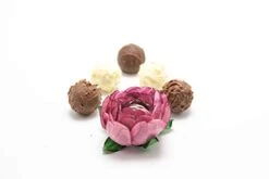 Handmade Paper Truffle Wrappers, Truffle Liners, Truffle Cups For Baby Shower Bridal Shower Birthday Party Wedding - Pack Of 24 (Peony Dusty Rose) 17 Handmade Paper Truffle Wrappers, Truffle Liners, Truffle Cups For Baby Shower Bridal Shower Birthday Party Wedding - Pack Of 24 (Peony Dusty Rose) -Peugeot Shop 31gO6pD8qmL