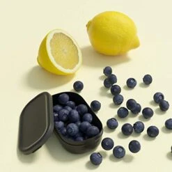 Bento Box Replacement Spare Parts -Peugeot Shop 413cn5WU6QL