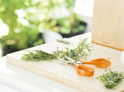 Fiskars Kitchen Scissors, Total Length: 18 Cm, Quality Steel/Synthetic Material, Classic, 1000819 11 Fiskars Kitchen Scissors, Total Length: 18 Cm, Quality Steel/Synthetic Material, Classic, 1000819 -Peugeot Shop 415vjSZZGjL