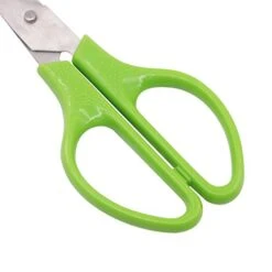 Quail Egg Cutter Scissors Stainless Steel Pigeon Bird Egg Opener Pack Of 12 -Peugeot Shop 41BqLC1w7IL