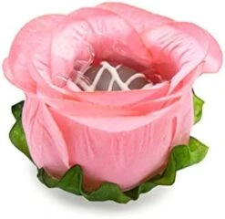 Handmade Paper Truffle Wrappers, Truffle Liners, Truffle Cups For Baby Shower Bridal Shower Birthday Party Wedding - Pack Of 24 (Peony Dusty Rose) 21 Handmade Paper Truffle Wrappers, Truffle Liners, Truffle Cups For Baby Shower Bridal Shower Birthday Party Wedding - Pack Of 24 (Peony Dusty Rose) -Peugeot Shop 41KS9PTOBFL. AC