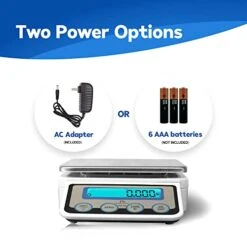 -10 Digital Kitchen Portion Scale - 11lb Electric Kitchen Scale With 0.002lb Readability - Removable Platter & LCD Display - Lb, Oz, G Unit Conversion (AC & Battery Powered) -Peugeot Shop 41LbWqwdhSL