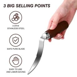 UPKOCH 1PC Coconut Tool Coconut Meat Remover Durable Wooden Handle Stainless Steel Coconut Opener Scraper Knife For Kitchen Home -Peugeot Shop 41NRPQcJ5aL