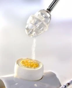 GEFU Egg Cracker With Salt Shaker 5 GEFU Egg Cracker With Salt Shaker -Peugeot Shop 41O11HPy6ML