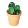 4pcs Porcelain Measuring Spoons With Base, Cute Cactus Shape