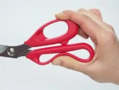 CHI-01 Kitchen Scissors