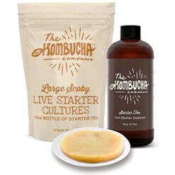 Large Kombucha Scoby & 16oz Bottle Of Starter Tea L Makes One Gallon | Brew Organic Kombucha From Home | Made From Purified Rainwater