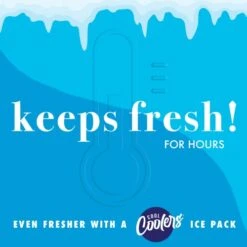 + Fresh Laketown Insulated Lunch Bag, Cooler Bag, For Women, Reusable Lunch Box, Perfect For Work, School, Beach & More, Black Cheetah -Peugeot Shop 41dxPuCHzpL