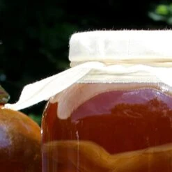 Kombucha Jar Cloth Covers (4-Pack); Unbleached Muslin Cloth Covers With Rubber Bands, Custom Size For Kombucha Jars 8 Kombucha Jar Cloth Covers (4-Pack); Unbleached Muslin Cloth Covers With Rubber Bands, Custom Size For Kombucha Jars -Peugeot Shop 41fgGdNWDdL