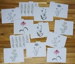 Tin Recipe Box - Includes 100 4X6 Cards, 12 Dividers - Beautiful Decorative Tin Box Gift Set (Wild Flower) -Peugeot Shop 41j2N81nPbL