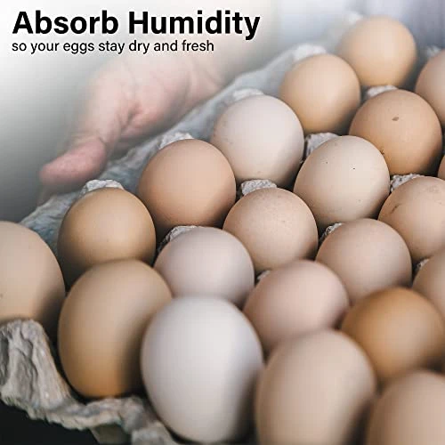 Biodegradable Pulp Fiber Egg Flats For Storing Up To 30 Large Or Small Eggs/Egg Crates That Make A Great Home For Roach Colony By MT Products (15 Pieces) 4 Biodegradable Pulp Fiber Egg Flats For Storing Up To 30 Large Or Small Eggs/Egg Crates That Make A Great Home For Roach Colony By MT Products (15 Pieces) - Image 4