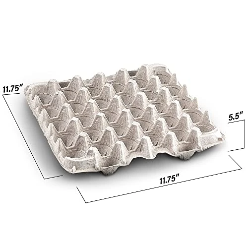 Biodegradable Pulp Fiber Egg Flats For Storing Up To 30 Large Or Small Eggs/Egg Crates That Make A Great Home For Roach Colony By MT Products (15 Pieces) 2 Biodegradable Pulp Fiber Egg Flats For Storing Up To 30 Large Or Small Eggs/Egg Crates That Make A Great Home For Roach Colony By MT Products (15 Pieces) - Image 2
