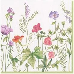 French Floral Paper Luncheon Napkins - 20 Per Package -Peugeot Shop 41oTGXGxwL. AC 1