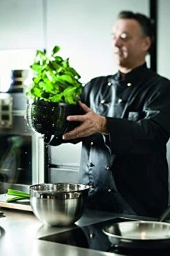 Rosle Stainless Steel Salad-Spinner, Large -Peugeot Shop 41qKJG19cYL