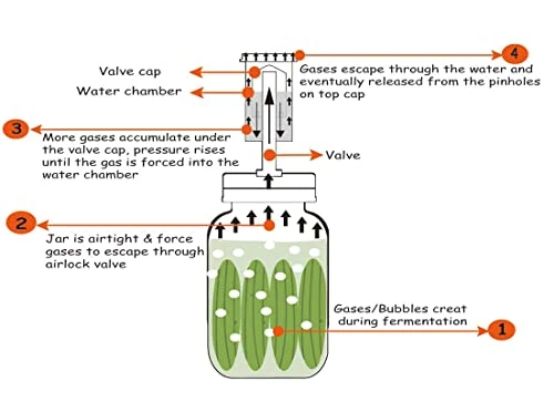 Jillmo Fermentation Kit, Stainless Steel Fermenting Kit For Wide Mouth Mason Jars (Jars Not Included) 4 Jillmo Fermentation Kit, Stainless Steel Fermenting Kit For Wide Mouth Mason Jars (Jars Not Included) - Image 4