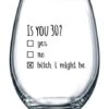 1990 30th Birthday Gift For Women And Men Wine Glass - Funny Is You 30 Gift Idea For Mom Dad Husband Wife – 30 Year Old Party Supplies Decorations For Him, Her - 15oz
