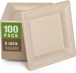 100 Pack Compostable Square Plates 6 Inch Disposable Paper Plates Sugarcane Cake Plates For Party Unbleached Eco-friendly Salad Plates Biodegradable -Peugeot Shop 41s2Tsf7TkL. AC
