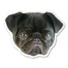 (Black) Pug Magnet By Magnet America Is 4 7/8" X 4 3/4" Made For Vehicles And Refrigerators