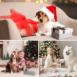 Dachshund Gifts For Women,20 OZ Wine Tumble Gifts For Dog Mom, Unique Gifts Idea Basket Box With Novelty Socks For Veterinarian,Animal Rescue,Dog Lover Funny Gag Gifts For New Puppy Baby Owners -Peugeot Shop 511pLLXc3CL
