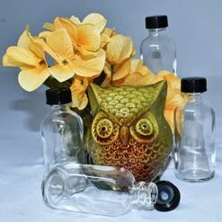 (24 Pack) 2 Oz. Clear Boston Round With Black Poly Cone Cap