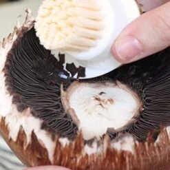 NGuy, 2 In 1 Mushroom Cleaning Brush, Green -Peugeot Shop 5178vwAzG7L