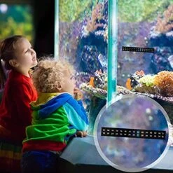 6 Pieces Horizontal Stick On Thermometer Strip Horizontal Thermometer Stickers Digital Temperature Display For Fermenting, Brewing, Wine, Beer, Kombucha Aquariums, 64-93°F (18-34°C) Adhesive Sticker -Peugeot Shop 51DFGUX30ES