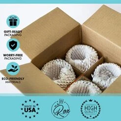 Succulent Plant Cactus Wine Gifts For Women- Set Of 4 Funny Wine Glasses 15oz - Plant Lover Gift Mug - What The Fucculent- Crazy Plant Lady Glass Tumbler - Stemless Glasses Housewarming Gift -Peugeot Shop 51DUxgOA6uL