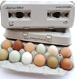 PROLINE 25 Egg Cartons – Vintage Design With Blank Center For Your Custom Stamp At A Cheap Bulk Price, 100% Recycled Biodegradable Cardboard Cartons, Sturdy & Reusable, Holds Small To XL Chicken Eggs -Peugeot Shop 51EzXbt3EPL. AC