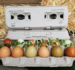 PROLINE 25 Egg Cartons – Vintage Design With Blank Center For Your Custom Stamp At A Cheap Bulk Price, 100% Recycled Biodegradable Cardboard Cartons, Sturdy & Reusable, Holds Small To XL Chicken Eggs -Peugeot Shop 51F2y9htA7L