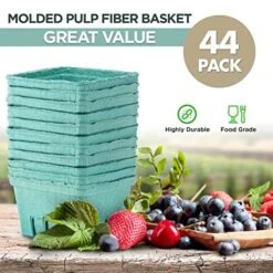 [44 Pack] Quart Green Molded Pulp Fiber Berry Basket Produce Vented Container For Fruit And Vegetable, Farmer Market, Grocery Stores And Backyard Party -Peugeot Shop 51H2VriOFIL