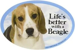Cat And Dog Magnets, Basset Hound -Peugeot Shop 51HmGRI3vDL. AC
