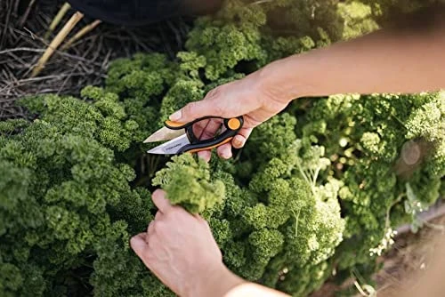 Fiskars 1063326 Herb Scissors, Black/Orange 6 Fiskars 1063326 Herb Scissors, Black/Orange - Image 6