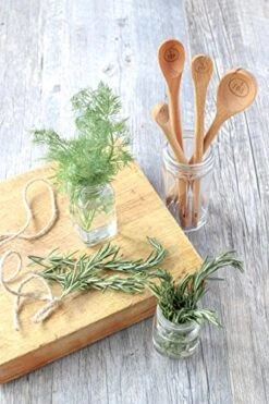 Long Handle Wooden Measuring Spoons By Utensi, Set Of 4 Engraved Accurate Spoons For Dry And Liquid Ingredients, Beech Wood Set (9-inch Handles) -Peugeot Shop 51IMTkvEzPL