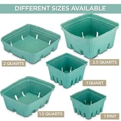 [44 Pack] Quart Green Molded Pulp Fiber Berry Basket Produce Vented Container For Fruit And Vegetable, Farmer Market, Grocery Stores And Backyard Party -Peugeot Shop 51JKr05TqRL