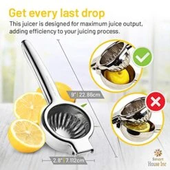 Xtra-Large Stainless Steel Lemon Squeezer - Manual Fruit Juicer With Seeds And Pulp Filter - Metal Juicer Press For Juicing Lemons, Limes, Oranges, And Pomegranate -Peugeot Shop 51LNN4tDvML
