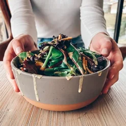 Ora Ceramic Flat Bowls Set Of 4 - 25 Oz- For Soup, Salad, Rice, Cereal, Breakfast, Dinner, Serving, Oatmeal, Etc - Microwave, Dishwasher And Oven Safe Porcelain Bowl For Eating And Kitchen - Neutrals -Peugeot Shop 51N9csZKrjL