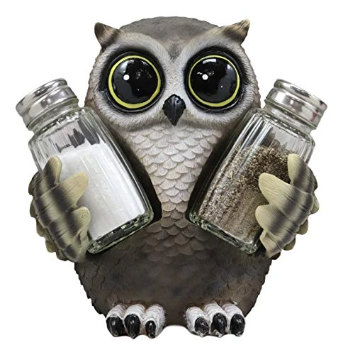 Whimsical Owlet Baby Owl With Big Round Eyes Glass Salt And Pepper Shakers Holder Display Figurine Set 6" Tall Wildlife Whispering Forest Spirit Nocturnal Birds Sculpture Home Decor Accent 2 Whimsical Owlet Baby Owl With Big Round Eyes Glass Salt And Pepper Shakers Holder Display Figurine Set 6" Tall Wildlife Whispering Forest Spirit Nocturnal Birds Sculpture Home Decor Accent - Image 2
