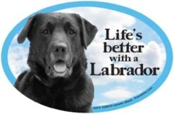 Cat And Dog Magnets, Basset Hound -Peugeot Shop 51RtHXrxp1L. AC