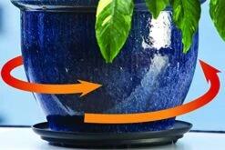 Bosmere S41610 Down Under Plant Turner, Heavy-Duty Rotating Plant Stand, Protects Decks, Wood Floors, Carpet, Tile, 250lbs Capacity, 16-Inch, Black -Peugeot Shop 51TWNcQoklL