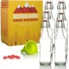 Swing Top Glass Bottles Brewing Bottles For Kombucha, Beer, Kiefer - 16 Oz. - Grolsch Style Bottle (6 Set) With Funnel