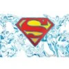 Tervis DC Comics-Superman Lineage Stainless Steel Insulated Tumbler With Lid, 20oz, Silver