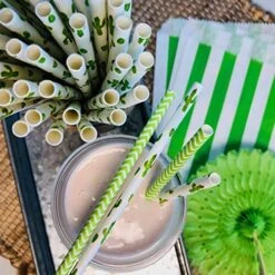 Cactus Themed Paper Straws - Green White Succulents - 100 Pack -Peugeot Shop 51XTT1EaTDL
