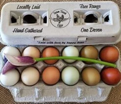 25 Egg Cartons – Adorable Vintage Design For Your Farm Fresh Eggs, 100% Recycled Paper Cardboard, Sturdy & Reusable, Holds Small To XL Chicken Eggs -Peugeot Shop 51ZJJp EfnL. AC