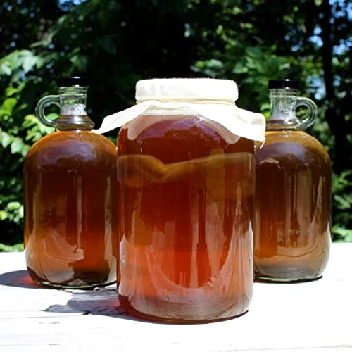 Kombucha Jar Cloth Covers (4-Pack); Unbleached Muslin Cloth Covers With Rubber Bands, Custom Size For Kombucha Jars 2 Kombucha Jar Cloth Covers (4-Pack); Unbleached Muslin Cloth Covers With Rubber Bands, Custom Size For Kombucha Jars - Image 2